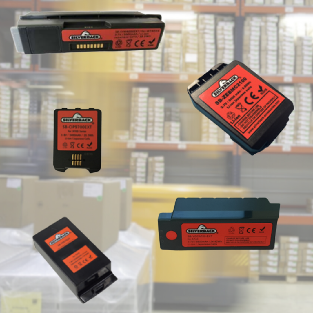 BATTERIE ALTERNATIVE